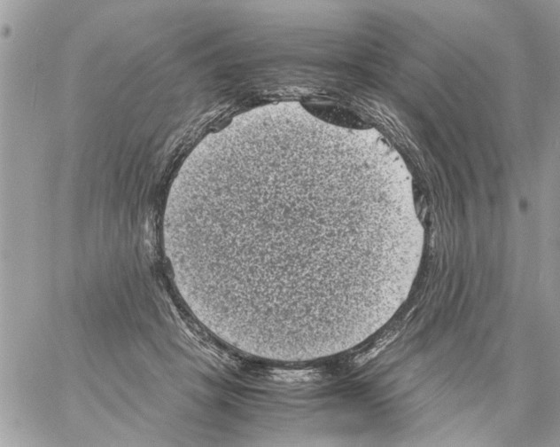 X0000061760457200512302308