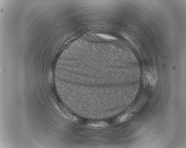 X0000061760459200512302308