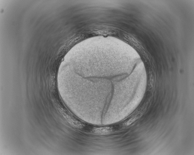 X0000061760461200512302308