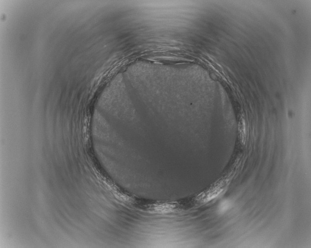 X0000061760462200512302308