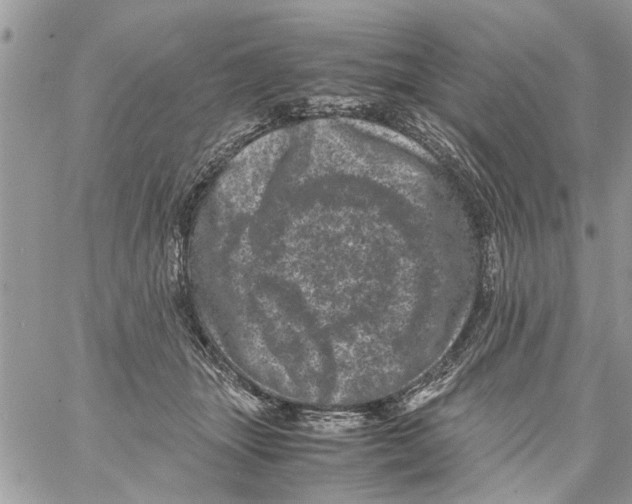 X0000061760463200512302308