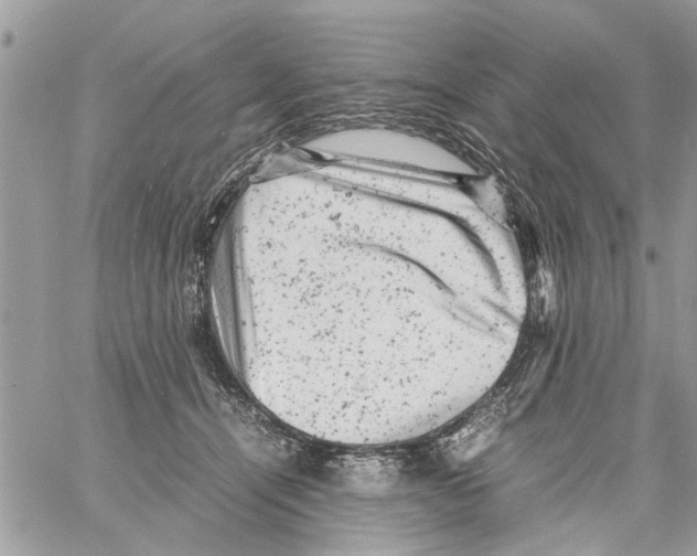 X0000061760464200512302308