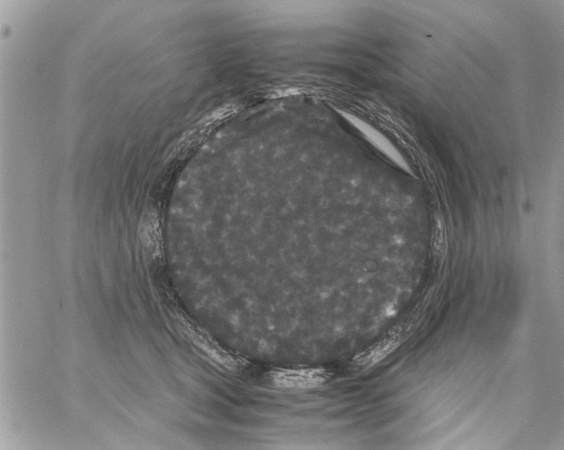 X0000061760465200512302308