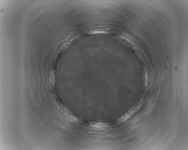 X0000061760467200512302308