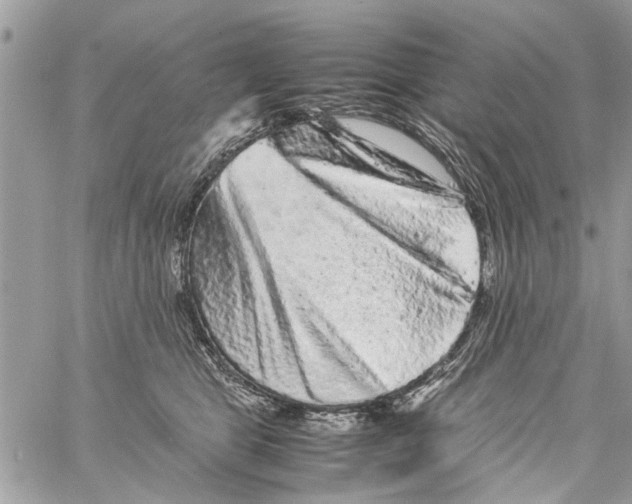 X0000061760469200512302308