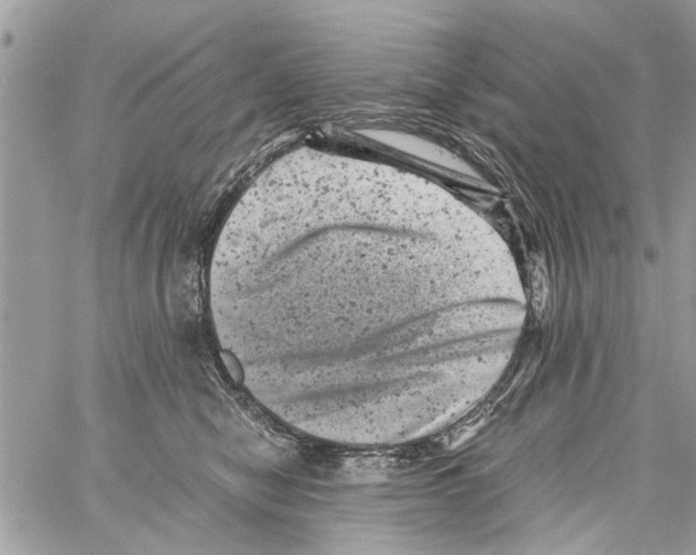 X0000061760470200512302308