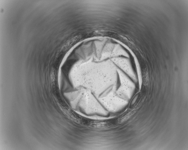 X0000061760472200512302308