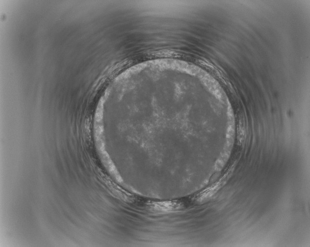 X0000061760473200512302308