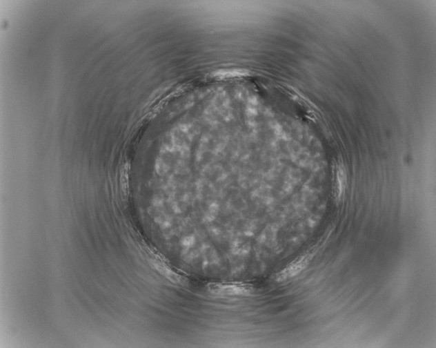 X0000061760475200512302308