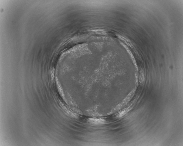 X0000061760477200512302308