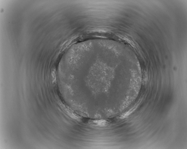 X0000061760478200512302308