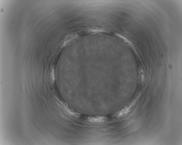 X0000061760479200512302308