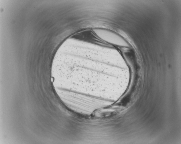 X0000061760481200512302307