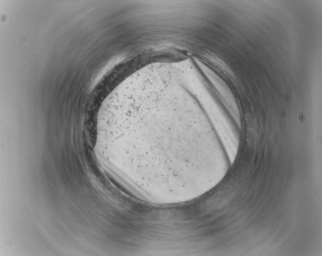 X0000061760482200512302307