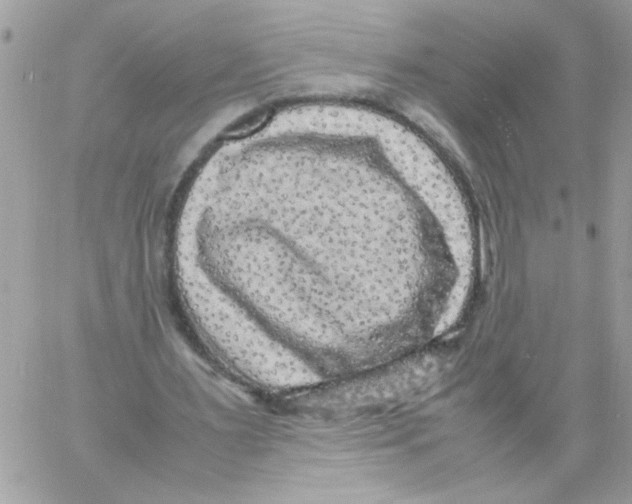 X0000061760483200512302307