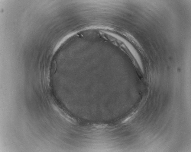 X0000061760484200512302307