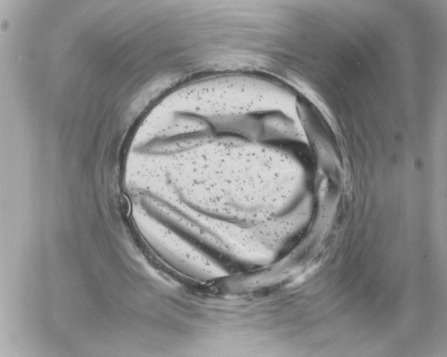 X0000061760485200512302307