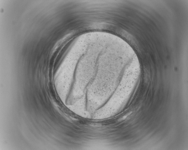 X0000061760486200512302307