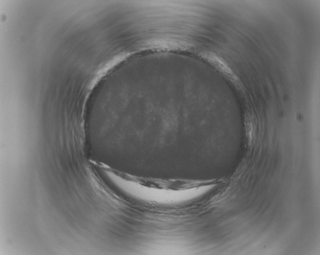 X0000061760488200512302307