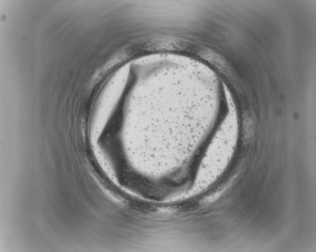 X0000061760489200512302307