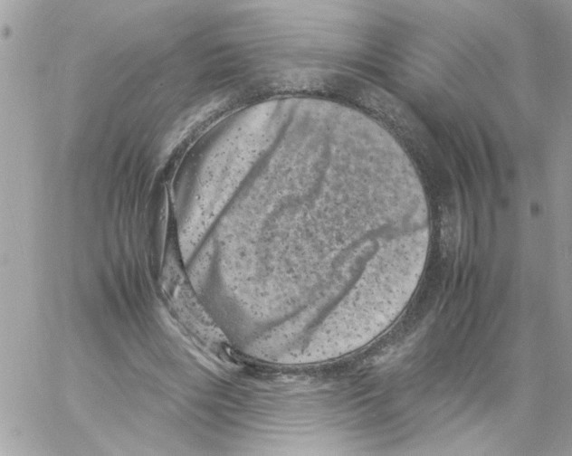 X0000061760490200512302307