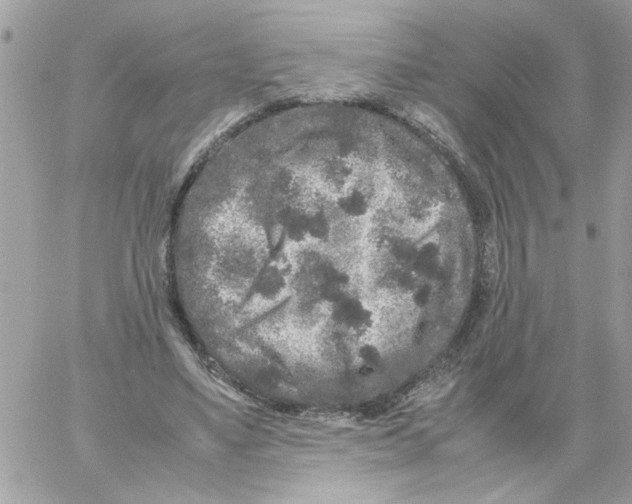 X0000061760491200512302307