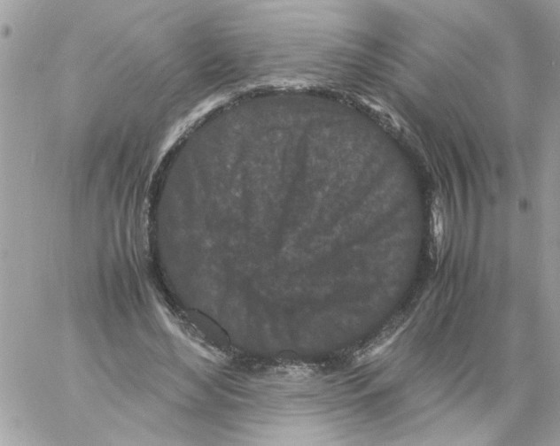 X0000061760492200512302307