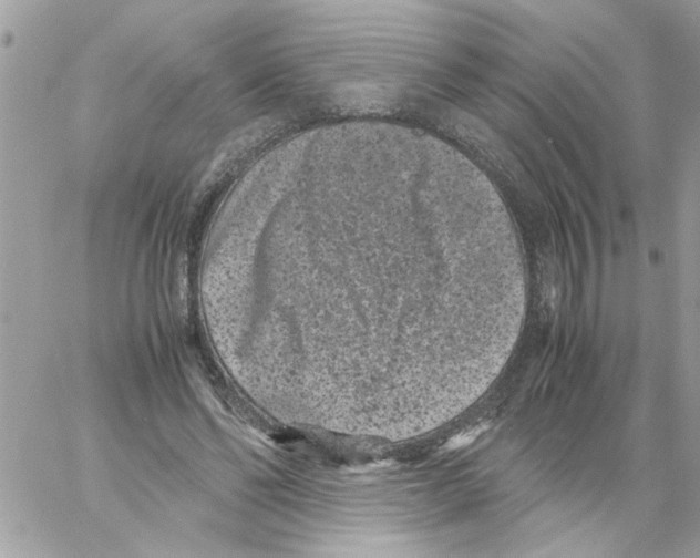 X0000061760494200512302307