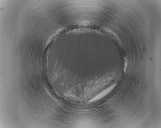 X0000061760496200512302307