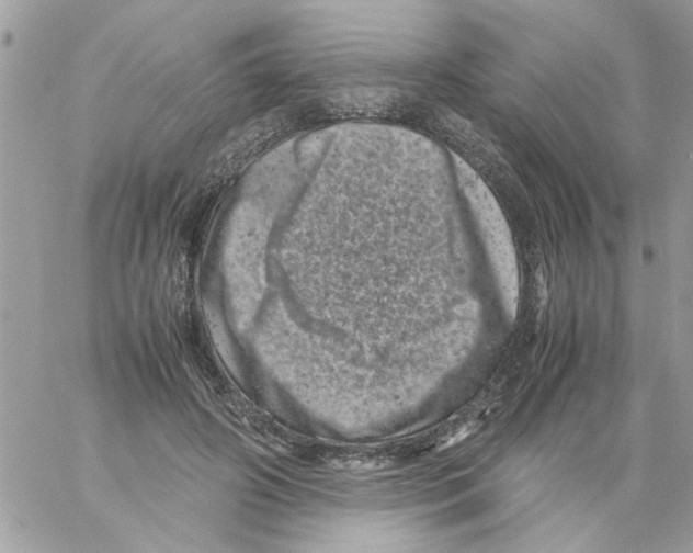 X0000061760498200512302307