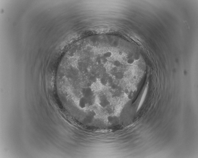 X0000061760499200512302307