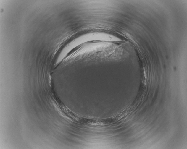 X0000061760500200512302307