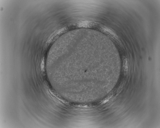 X0000061760502200512302307