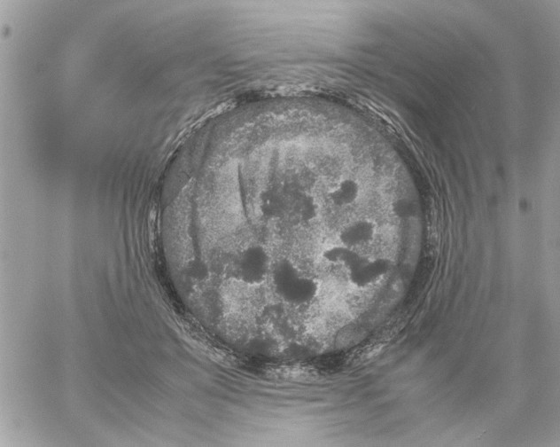 X0000061760503200512302307