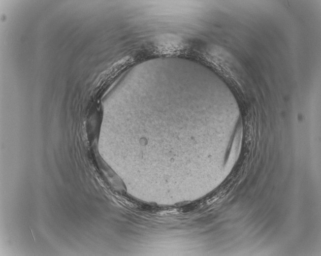 X0000061760505200512302307