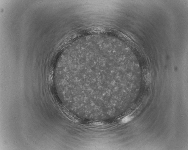 X0000061760507200512302307