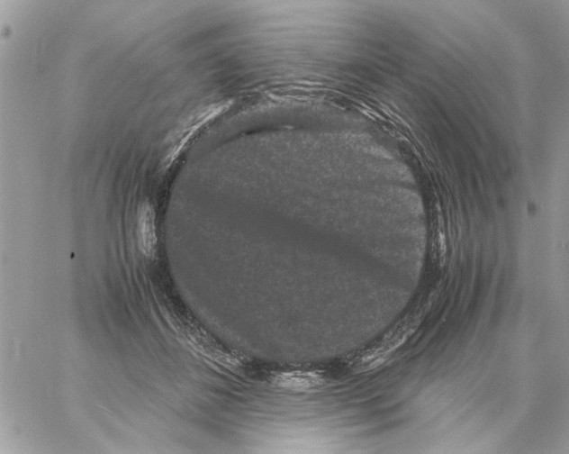 X0000061760508200512302307