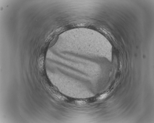 X0000061760509200512302307