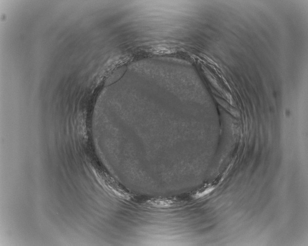 X0000061760512200512302307