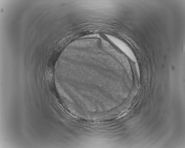 X0000061760513200512302307