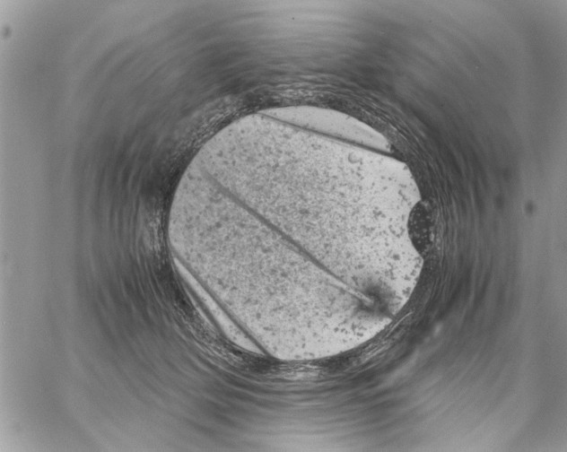 X0000061760514200512302307