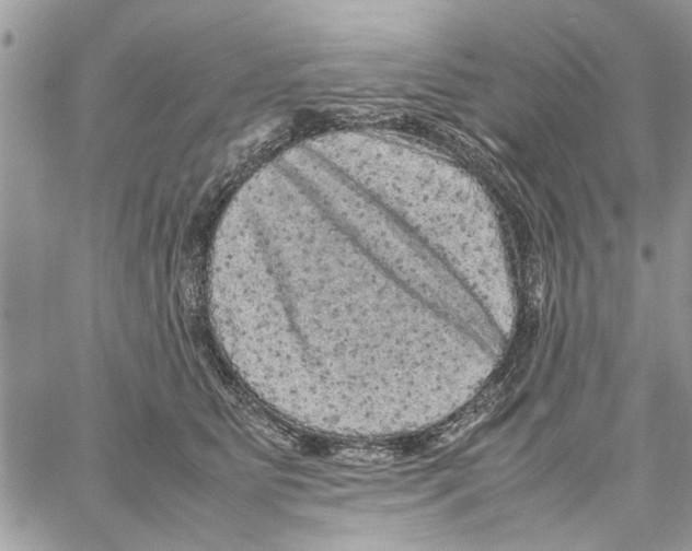 X0000061760515200512302307