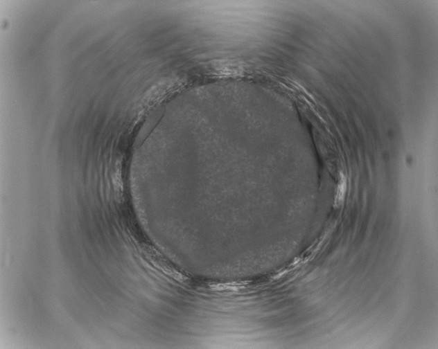 X0000061760516200512302307