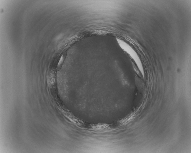 X0000061760517200512302307