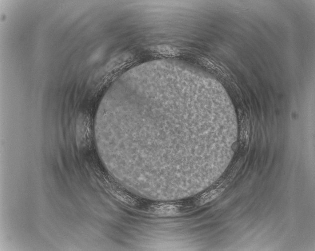 X0000061760518200512302307