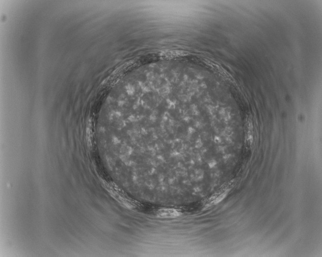 X0000061760519200512302307