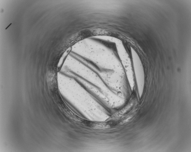 X0000061760521200512302307