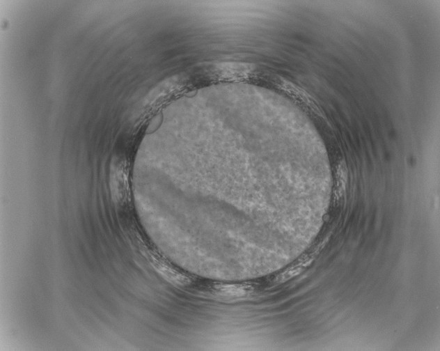 X0000061760522200512302307