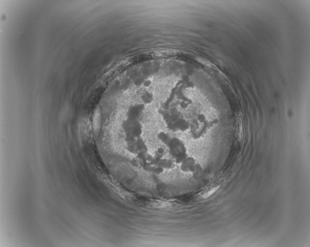 X0000061760523200512302307