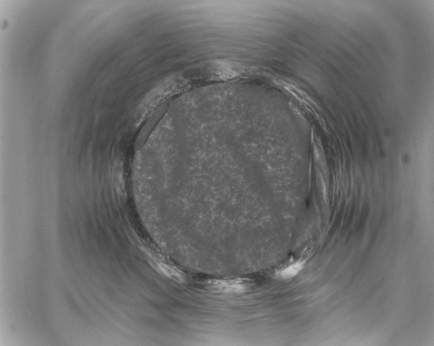 X0000061760524200512302307